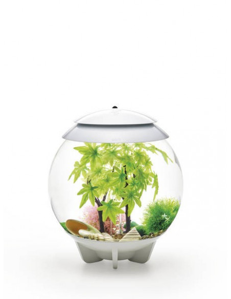 Décoration pour aquarium 30 l Oase 48445