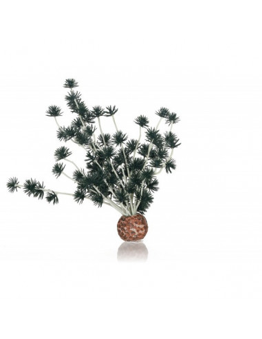 biOrb Boule Bonsai noire