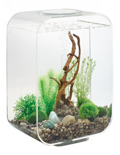 Décoration pour aquarium 30 l Oase 48445 - Aquariums - Achat & prix